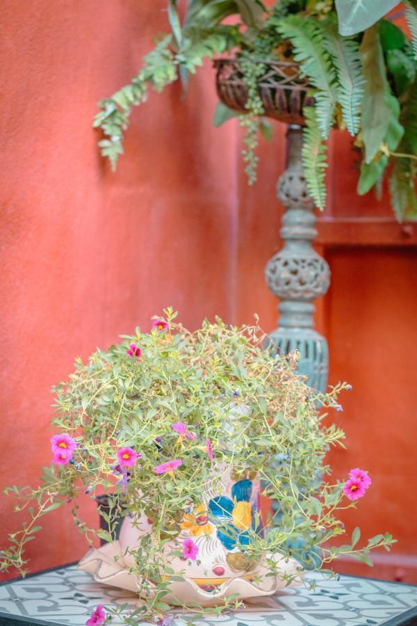 Flatguest Casa Del Sol - Terrace - Parking Villa Las Palmas de Gran Canaria Dış mekan fotoğraf